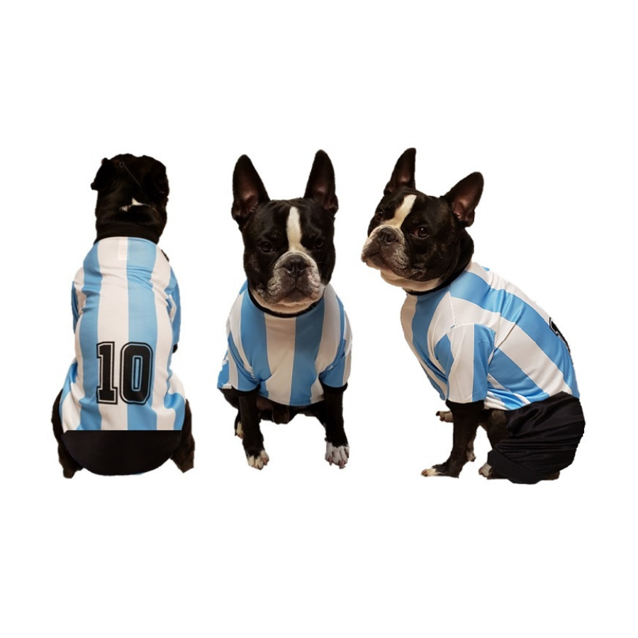 Equipo de Futbol Argentina